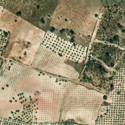 Satellite imagery of survey_point, DZ