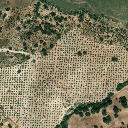 Satellite imagery of survey_point, DZ