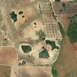 Satellite imagery of survey_point, DZ