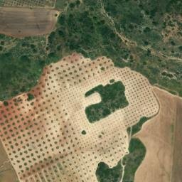 Satellite imagery of survey_point, DZ