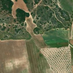 Satellite imagery of survey_point, DZ