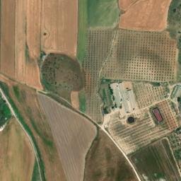 Satellite imagery of survey_point, DZ