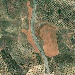 Satellite imagery of survey_point, DZ