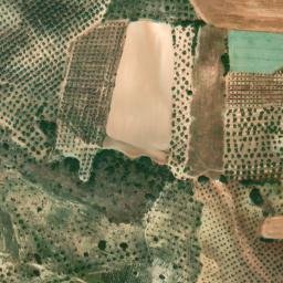 Satellite imagery of survey_point, DZ