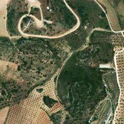 Satellite imagery of survey_point, DZ