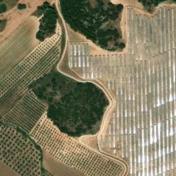 Satellite imagery of survey_point, DZ