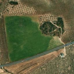 Satellite imagery of survey_point, DZ