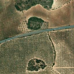 Satellite imagery of survey_point, DZ