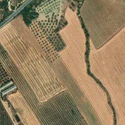 Satellite imagery of survey_point, DZ