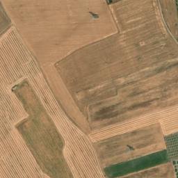 Satellite imagery of survey_point, DZ