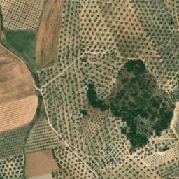 Satellite imagery of survey_point, DZ