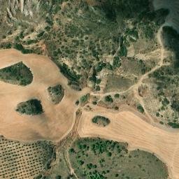 Satellite imagery of survey_point, DZ