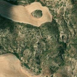 Satellite imagery of survey_point, DZ