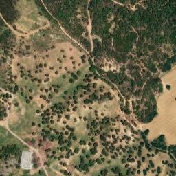 Satellite imagery of survey_point, DZ