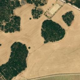 Satellite imagery of survey_point, DZ