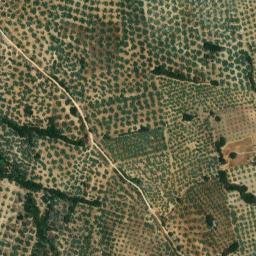 Satellite imagery of survey_point, DZ