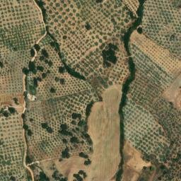 Satellite imagery of survey_point, DZ