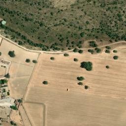 Satellite imagery of survey_point, DZ