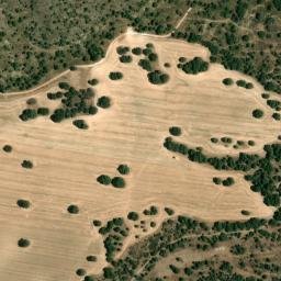 Satellite imagery of survey_point, DZ