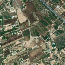 Satellite imagery of survey_point, DZ