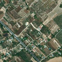 Satellite imagery of survey_point, DZ