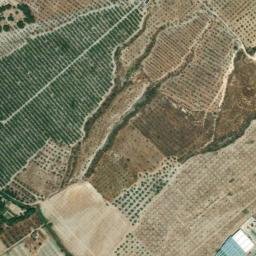 Satellite imagery of survey_point, DZ