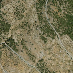 Satellite imagery of survey_point, DZ
