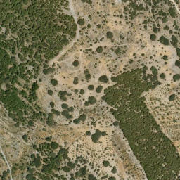 Satellite imagery of survey_point, DZ