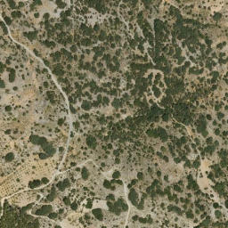 Satellite imagery of survey_point, DZ