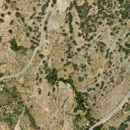 Satellite imagery of survey_point, DZ