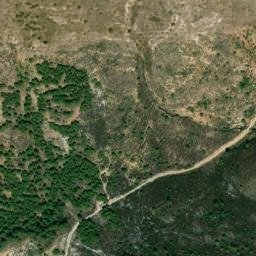 Satellite imagery of survey_point, DZ
