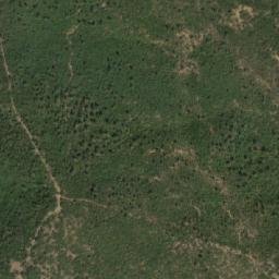 Satellite imagery of Raout el Fellah, DZ