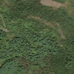 Satellite imagery of Fork Ridge, US