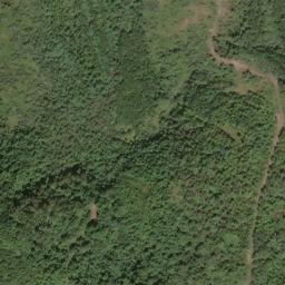 Satellite imagery of Fork Ridge, US