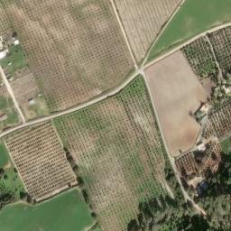 Satellite imagery of survey_point, DZ