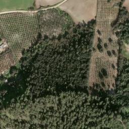 Satellite imagery of survey_point, DZ