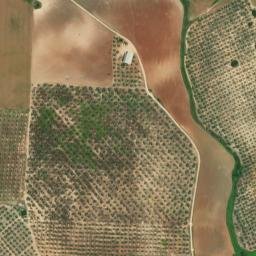 Satellite imagery of survey_point, DZ
