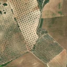 Satellite imagery of survey_point, DZ