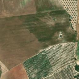 Satellite imagery of survey_point, DZ