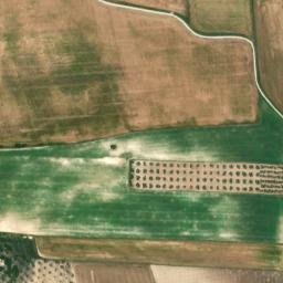 Satellite imagery of survey_point, DZ