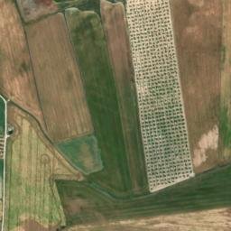 Satellite imagery of survey_point, DZ