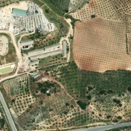 Satellite imagery of survey_point, DZ