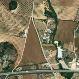 Satellite imagery of survey_point, DZ
