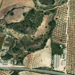 Satellite imagery of survey_point, DZ