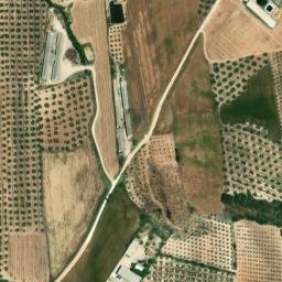 Satellite imagery of survey_point, DZ