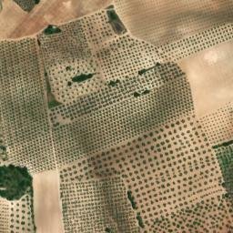 Satellite imagery of survey_point, DZ