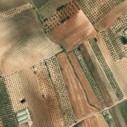 Satellite imagery of survey_point, DZ