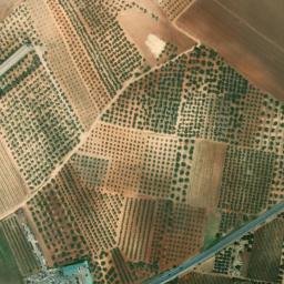 Satellite imagery of survey_point, DZ