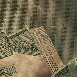 Satellite imagery of survey_point, DZ