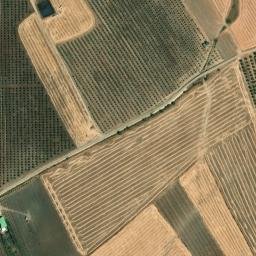 Satellite imagery of survey_point, DZ